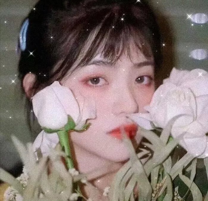 艳舞樱都